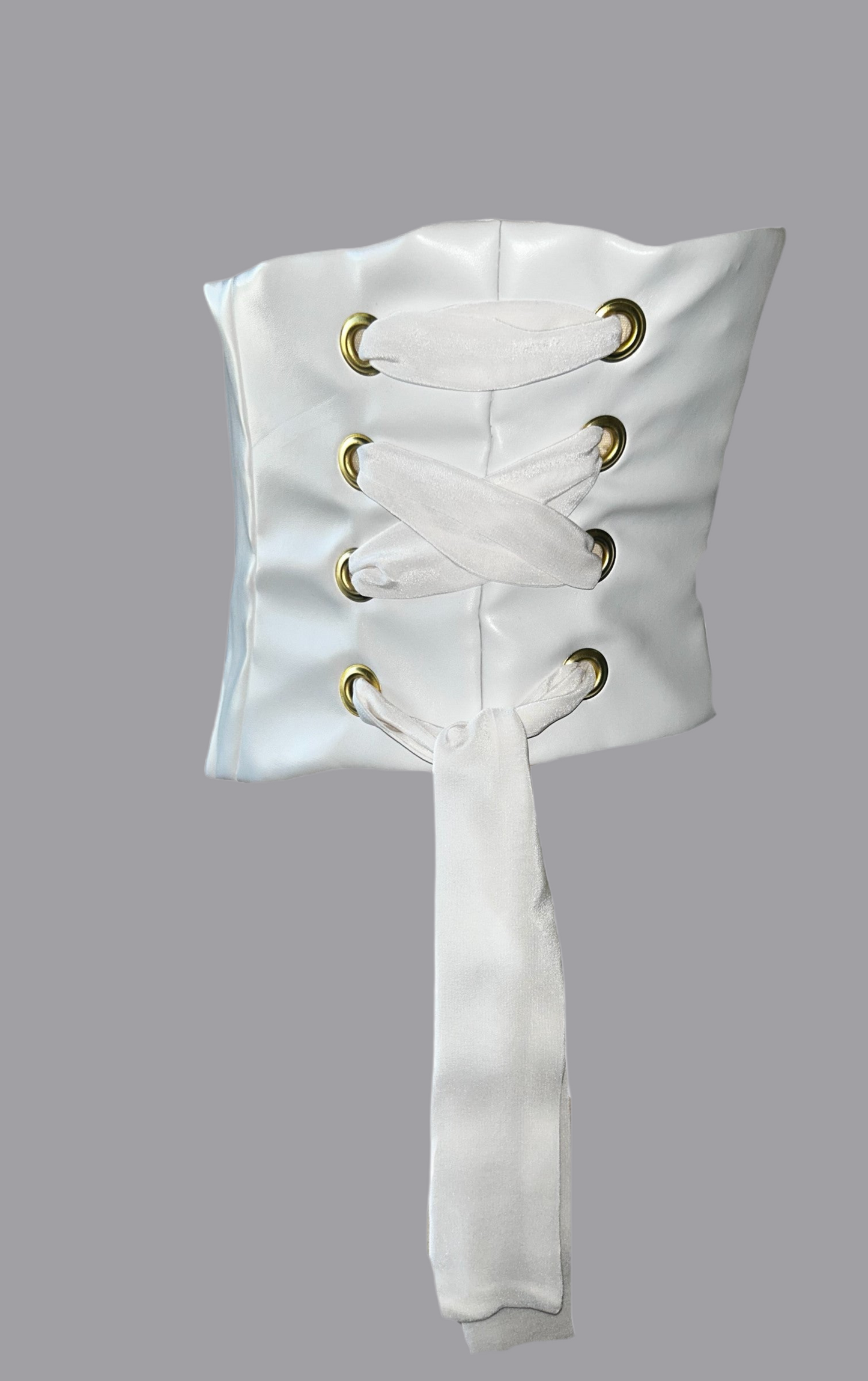 Laced in Silk Corset